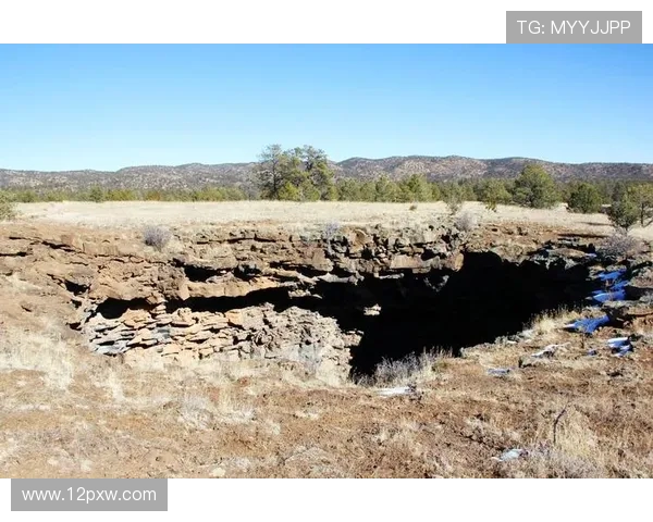 阿斯：拉姆塞因爱犬走失与美洲狮解约 离开墨西哥开启新篇章